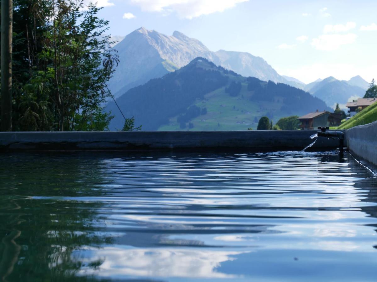 Chalet Sonnenheim, Wohnung Mit Panoramafenster Adelboden Ngoại thất bức ảnh